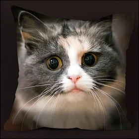 Подушки с фото: подушка кот2